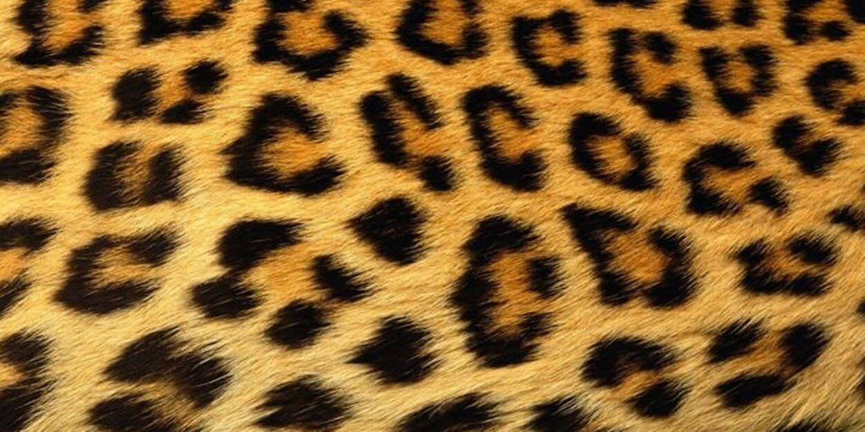 TheReal_Breanna's profile banner image