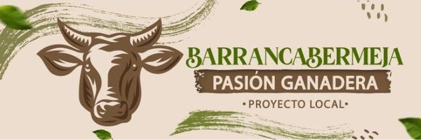 PLBARRANCA Profile Banner