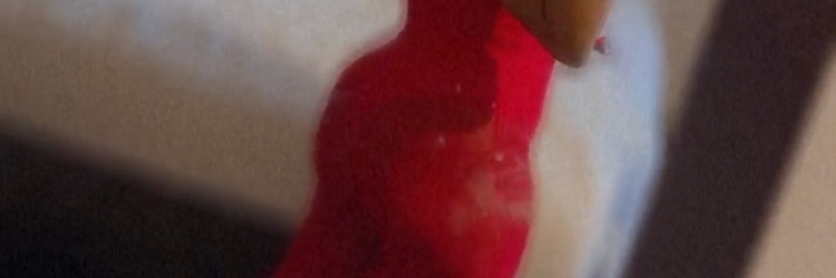 Lilly66457629's profile banner image