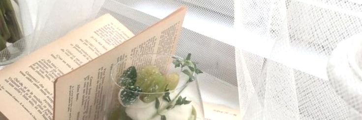 ʚĭɞ | MANDEN CC banner