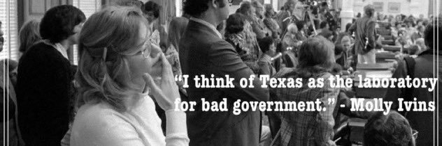 Cy-Fair Area Democratic Club banner