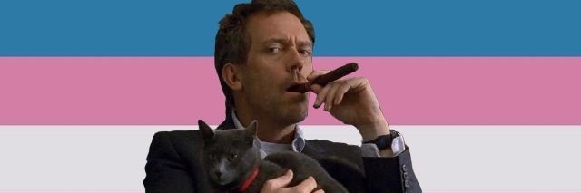poolcat 🇵🇸 banner