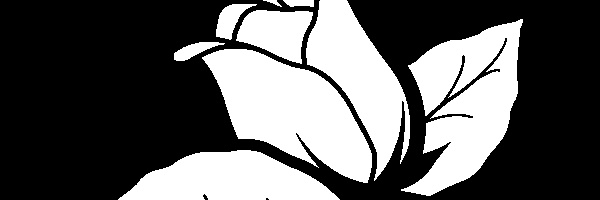 Moxy_0's profile banner image