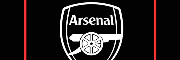 2SAFC's banner