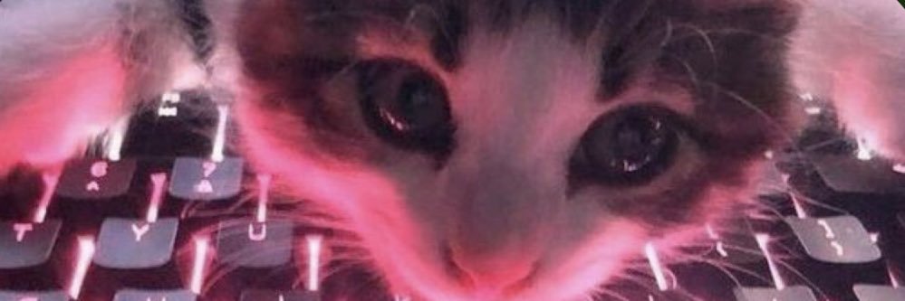 bnny_o's profile banner image
