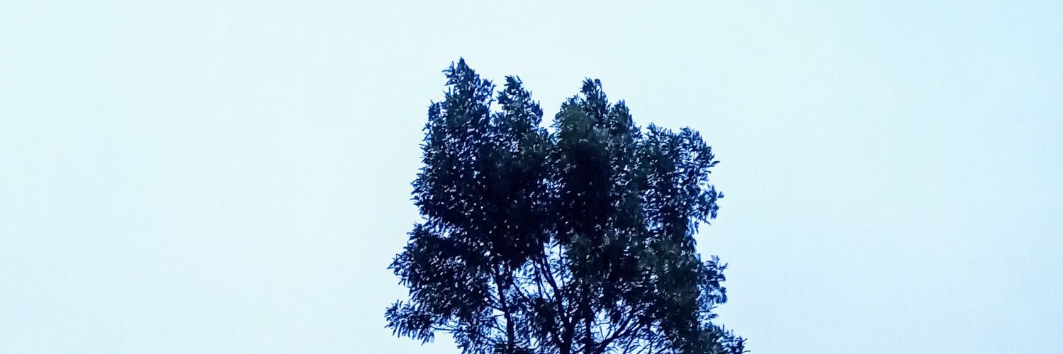 san____shine's profile banner image