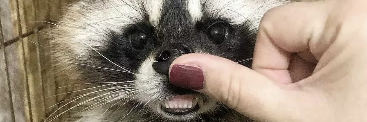 marieldelgado_'s profile banner image