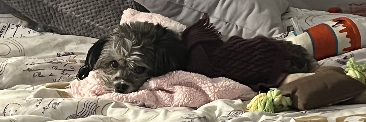 ddaabbrriiaa's profile banner image