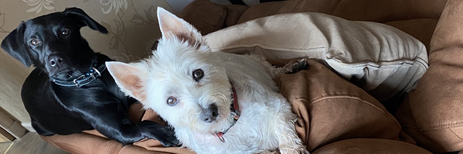 Jacqui Semple banner