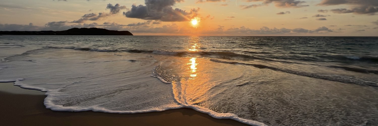 Eric “₿ullishFella” banner