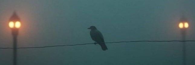 ..𝐂𝐚𝐰𝐛𝐨𝐲.. banner