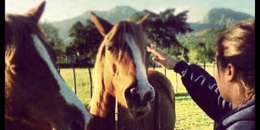 Rolanda_f's profile banner image