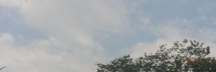 chwrnnn's profile banner image
