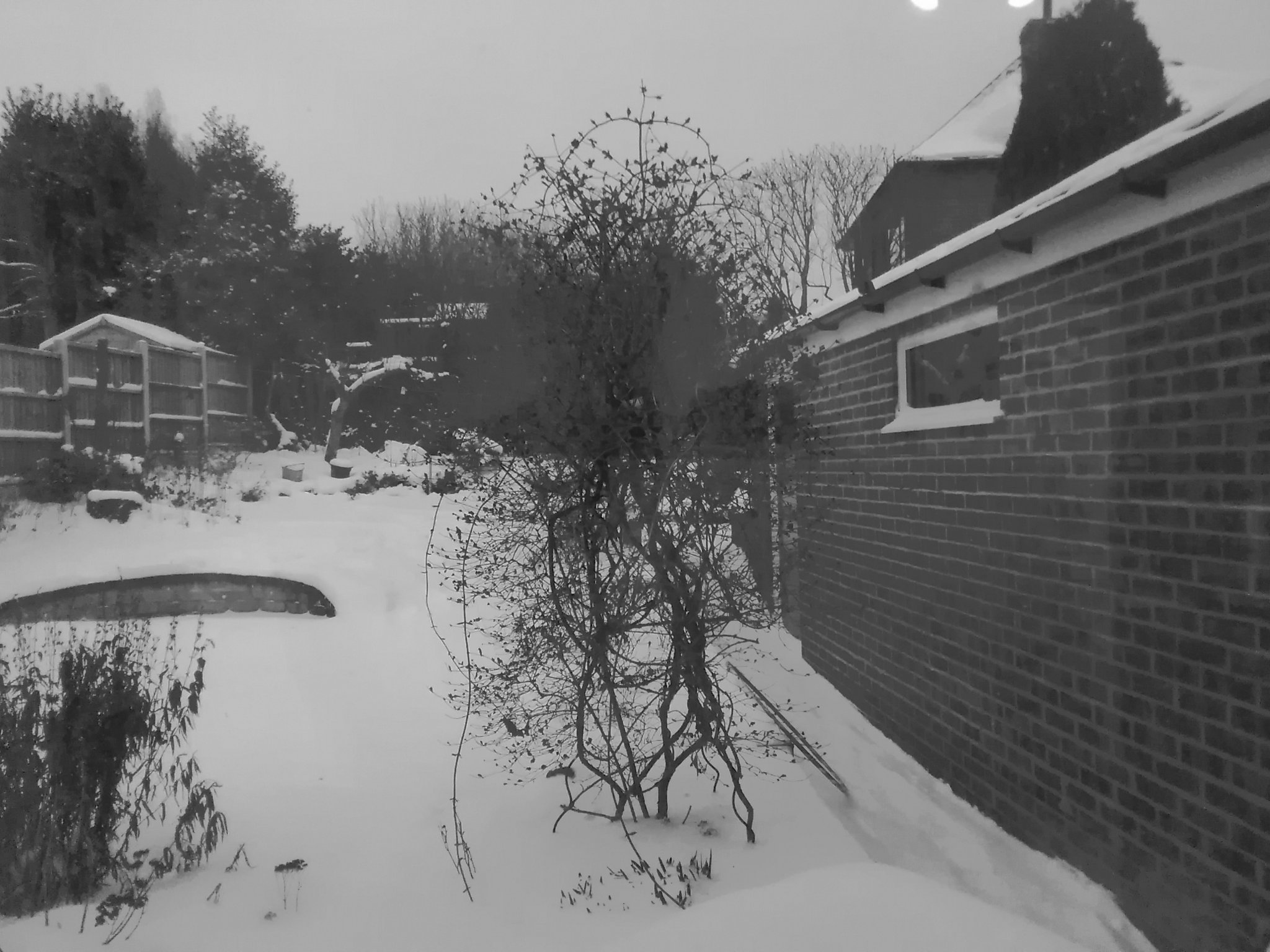 Debbie Brookes banner