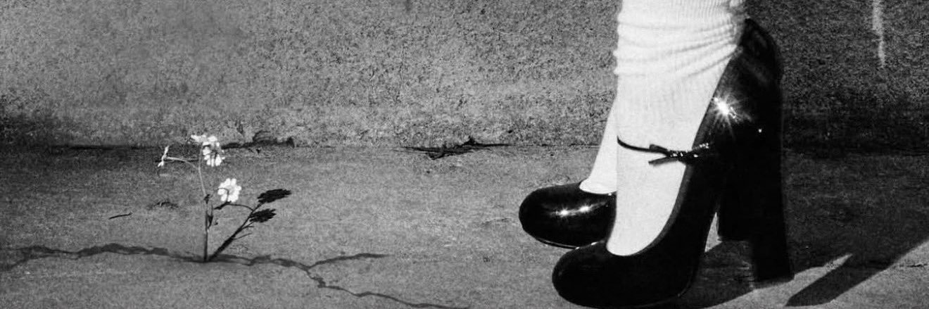 wildestdelicate's profile banner image