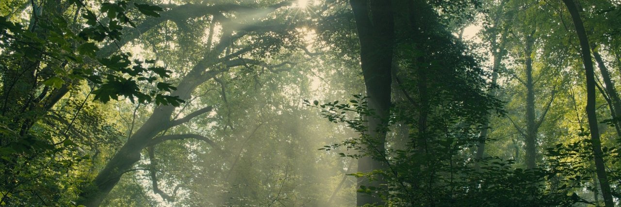 Grace Caroline Currey banner