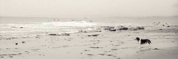 dejarjayes Profile Banner