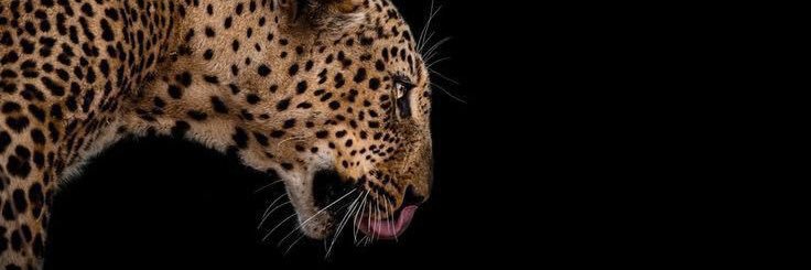 jood_9332's profile banner image