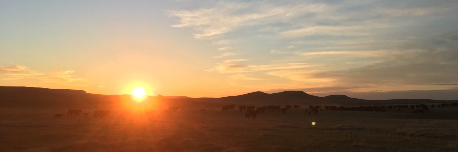 NoDakTrav's profile banner image