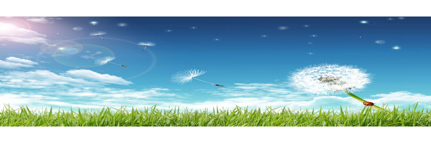 7Yaks's profile banner image