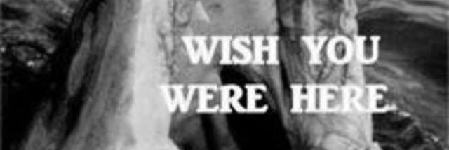 shavedknees's profile banner image