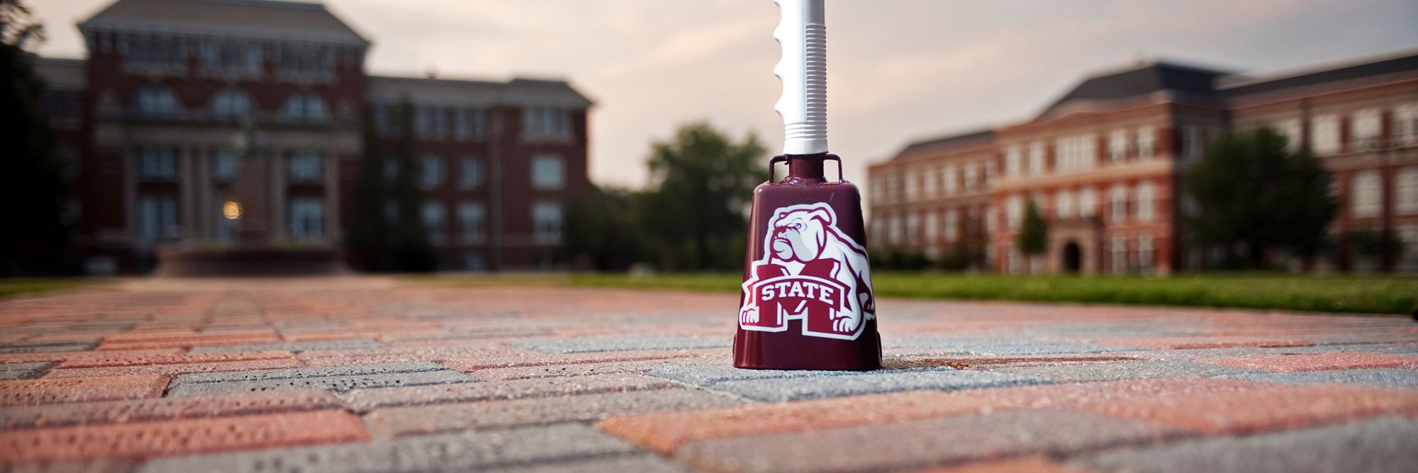MSStateMBA's profile banner image