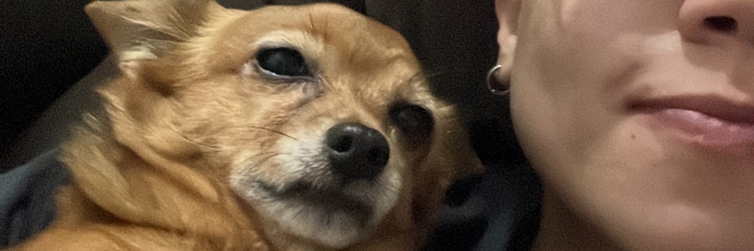 yafsfy's profile banner image