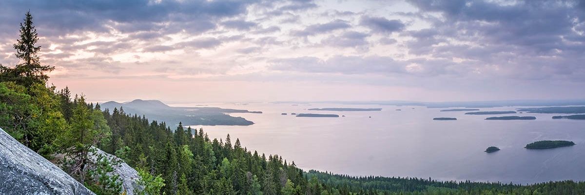 timosokka's profile banner image