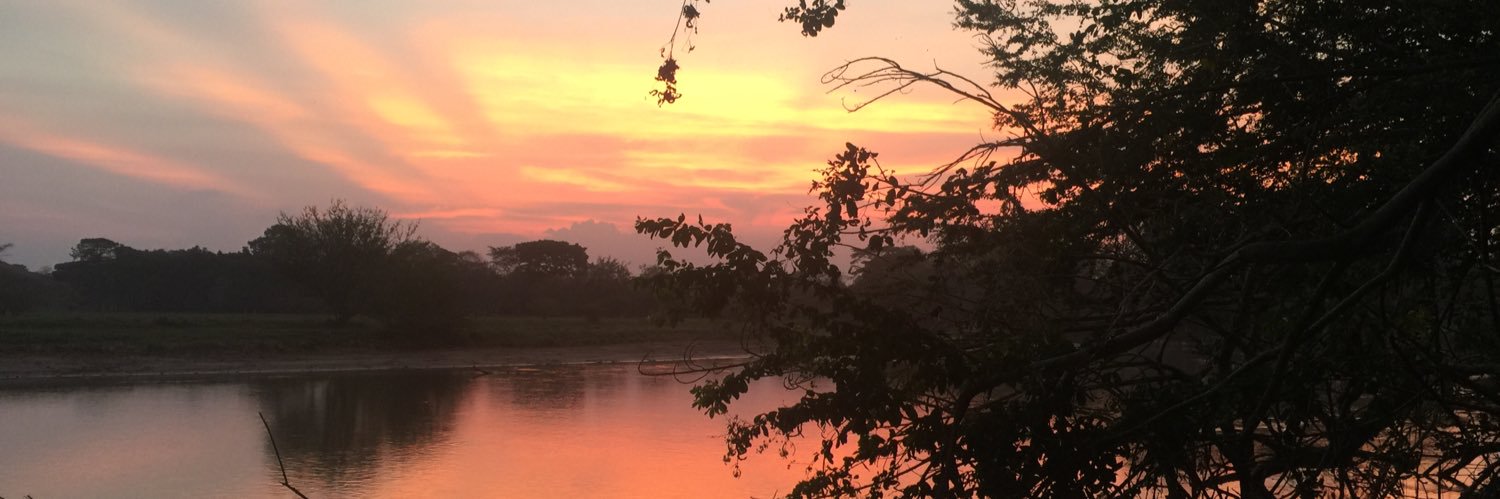 Carperx95's profile banner image