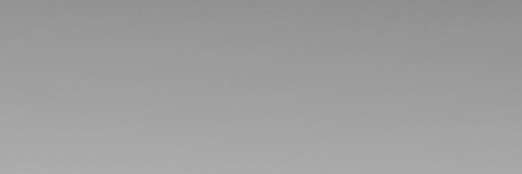 bt. banner