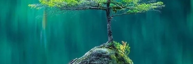 QINGDAOZHIXING's profile banner image