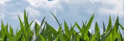 PrairieFoodNow's profile banner image