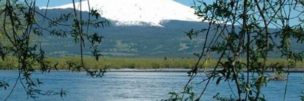 ACTRAPUCON Profile Banner