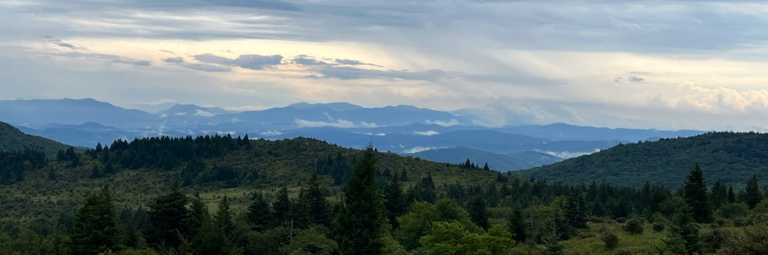 Zimplifyze banner
