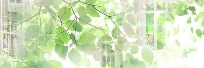 isha 📌 OPEN's banner