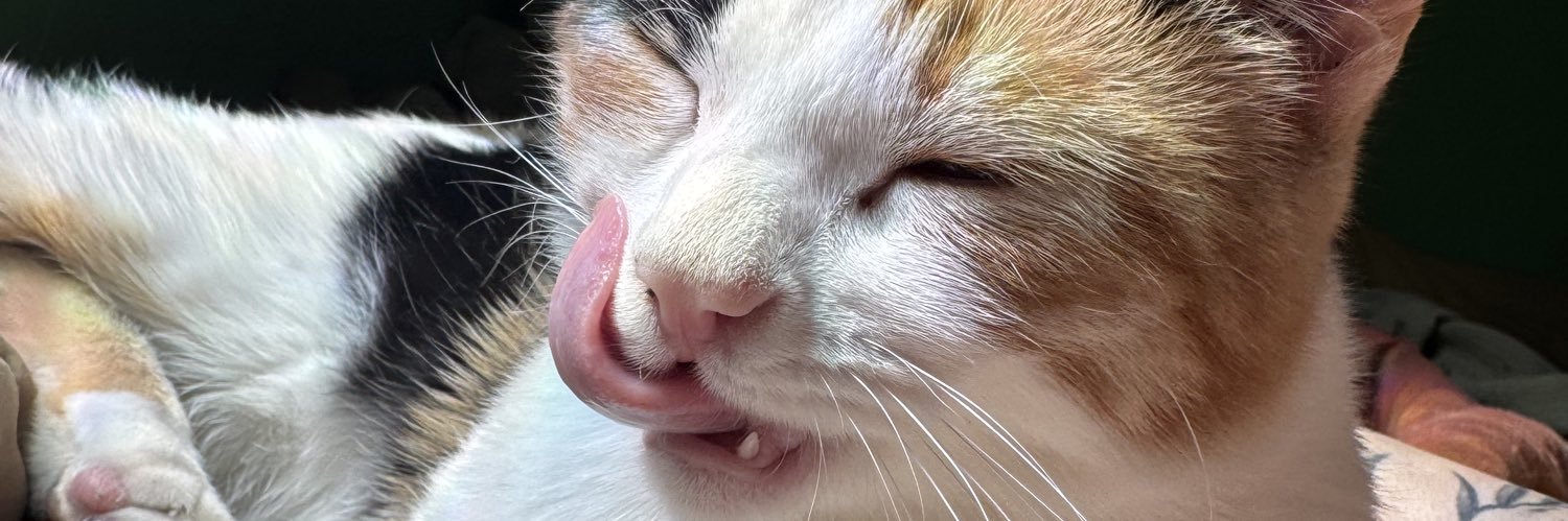savannalucer0's profile banner image