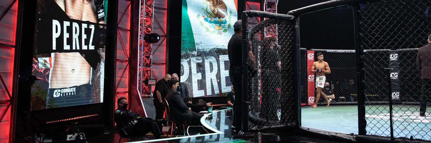 puasmma's profile banner image