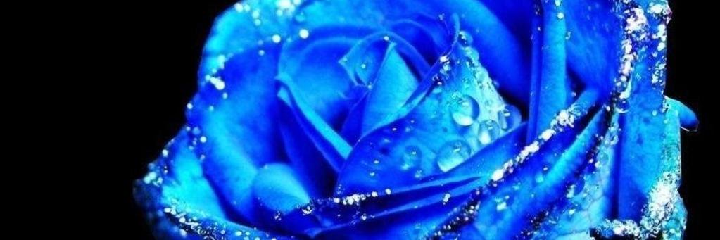 JenR217's profile banner image