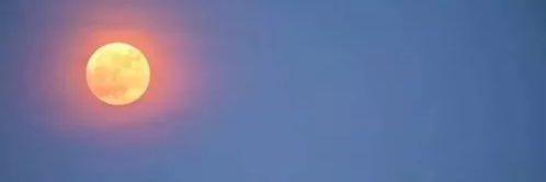 L banner