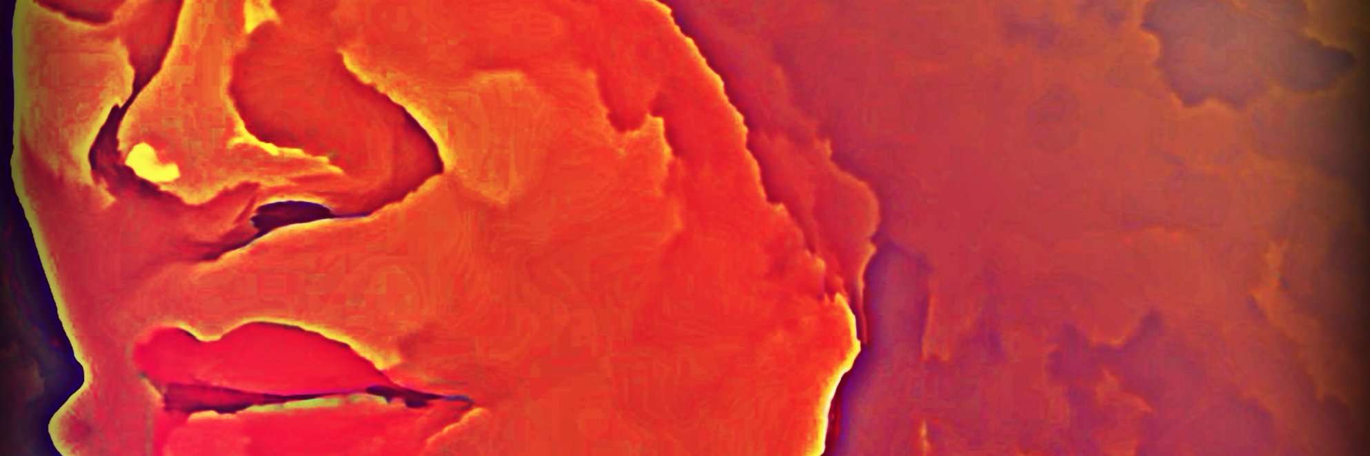 nobidelon's profile banner image