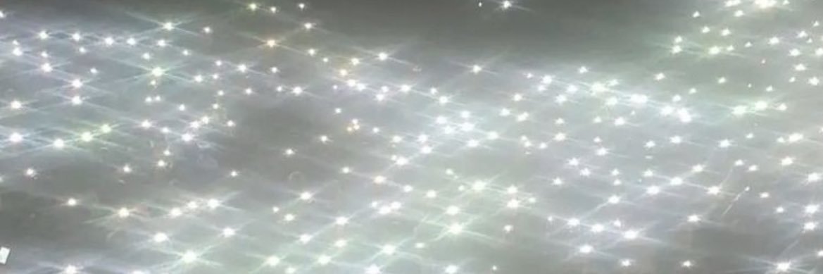 SC banner