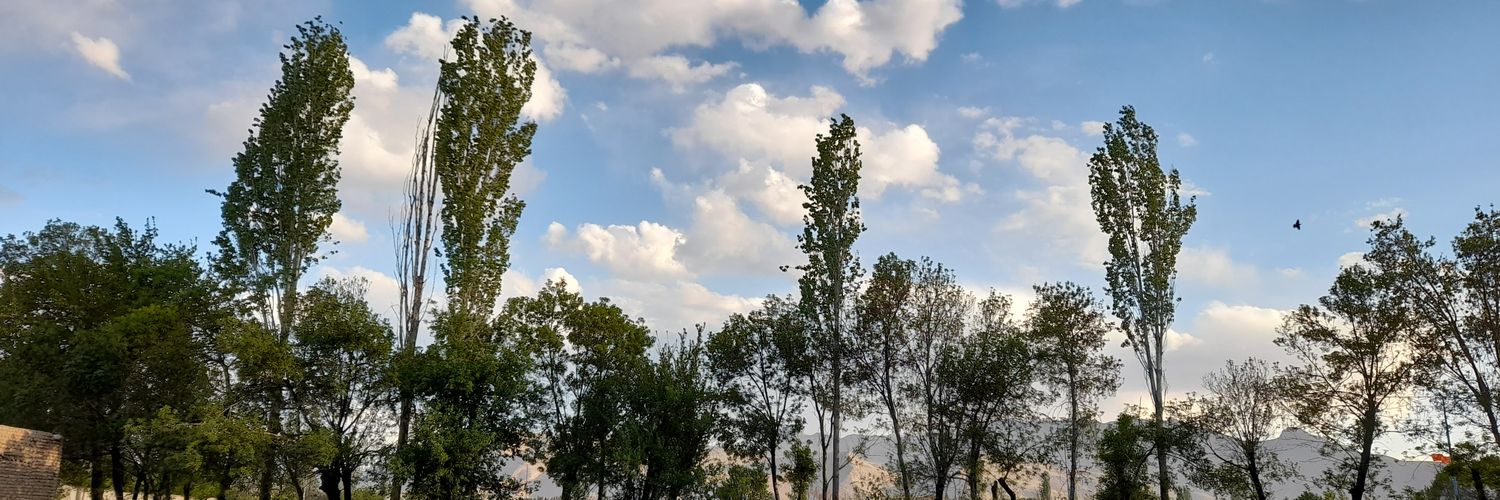 یه جانی از نوع دپ💤 banner