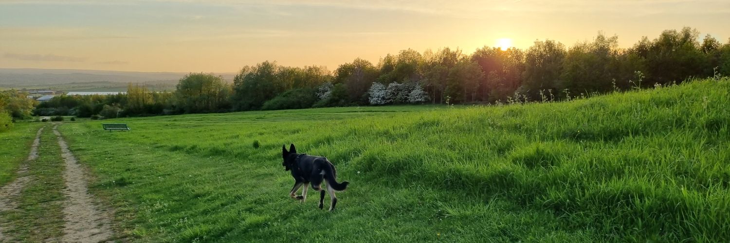 Craigutfr2's profile banner image