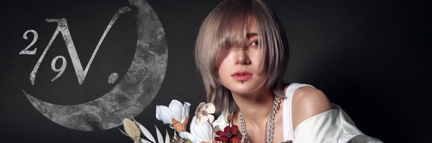 29+dimensioN.OFFICIAL banner