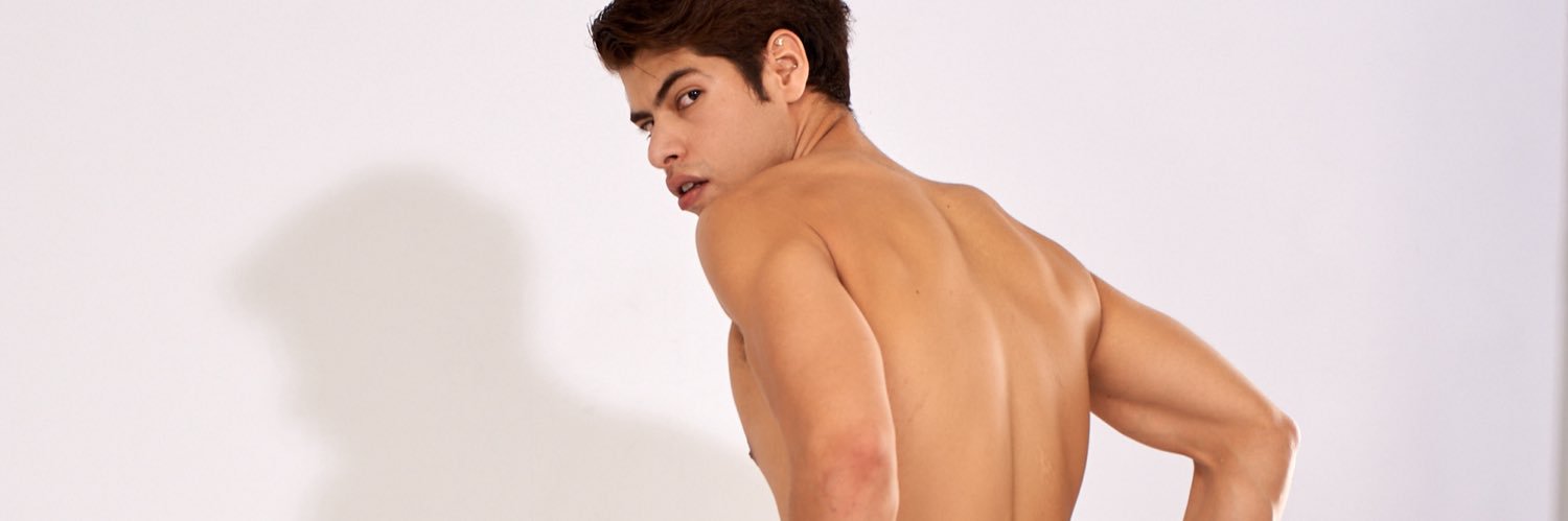 Anthony Palvin banner