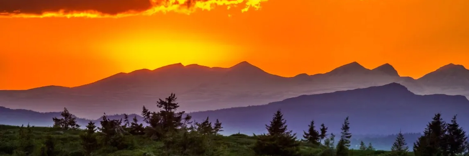 The Borderlens banner