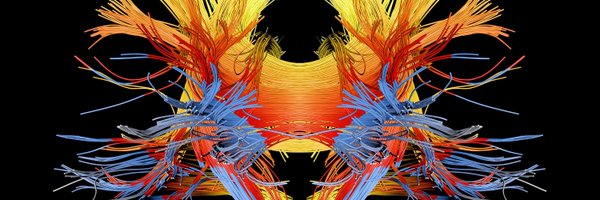 ericwan53761434 Profile Banner