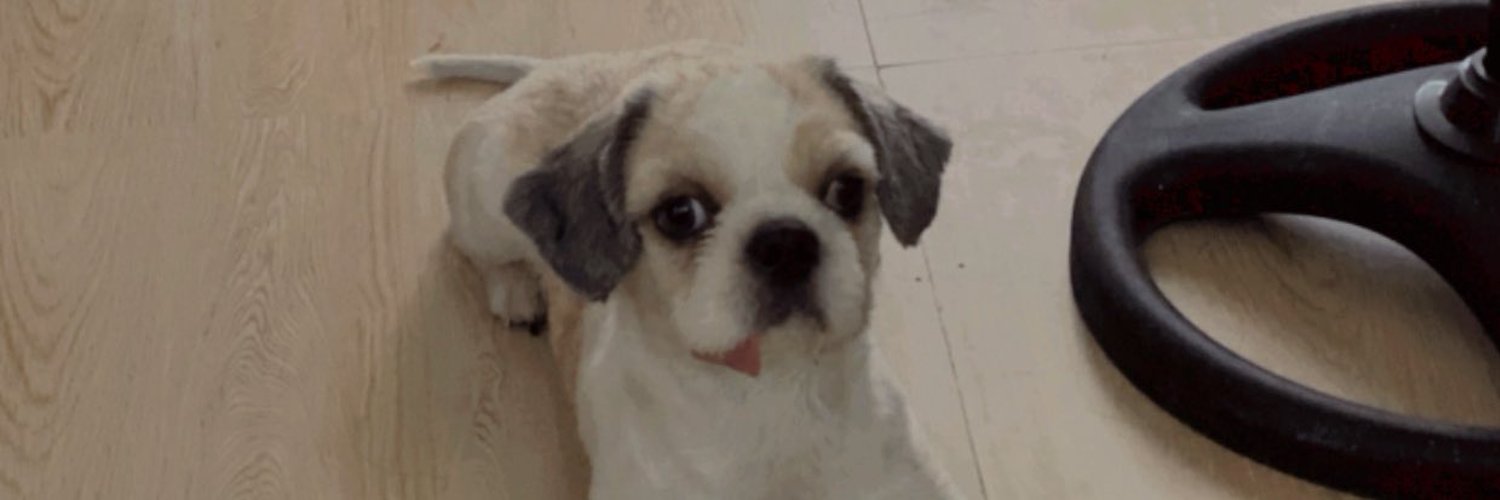 andelore_'s profile banner image