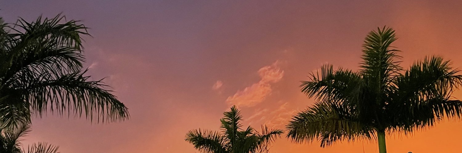 gabrimauritzee's profile banner image