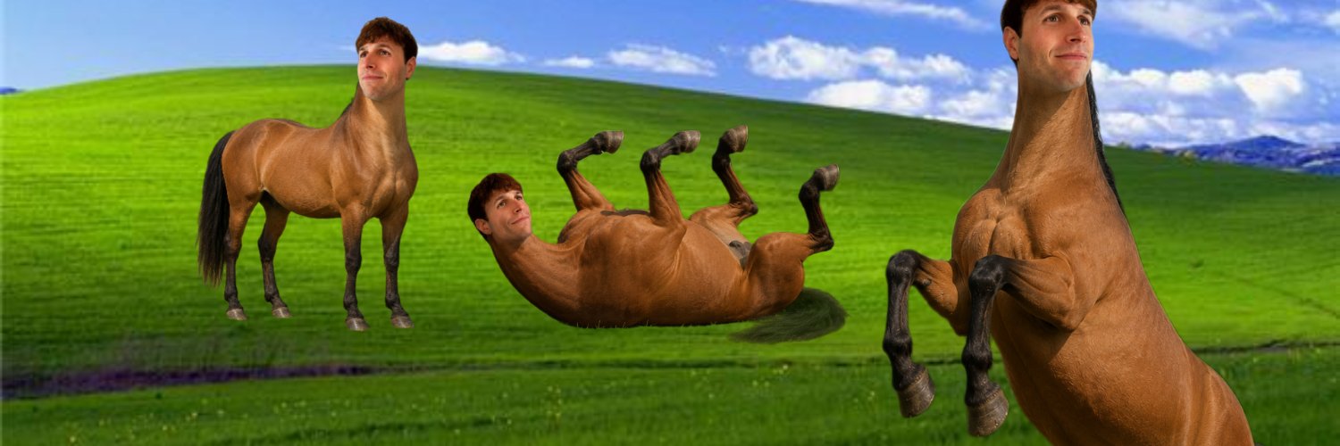 dsdsdaniela's profile banner image